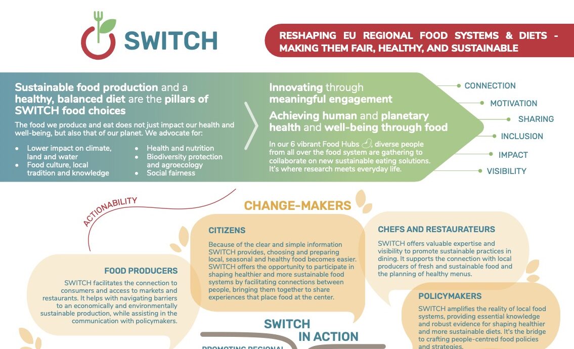 The SWITCH Manifesto is here!