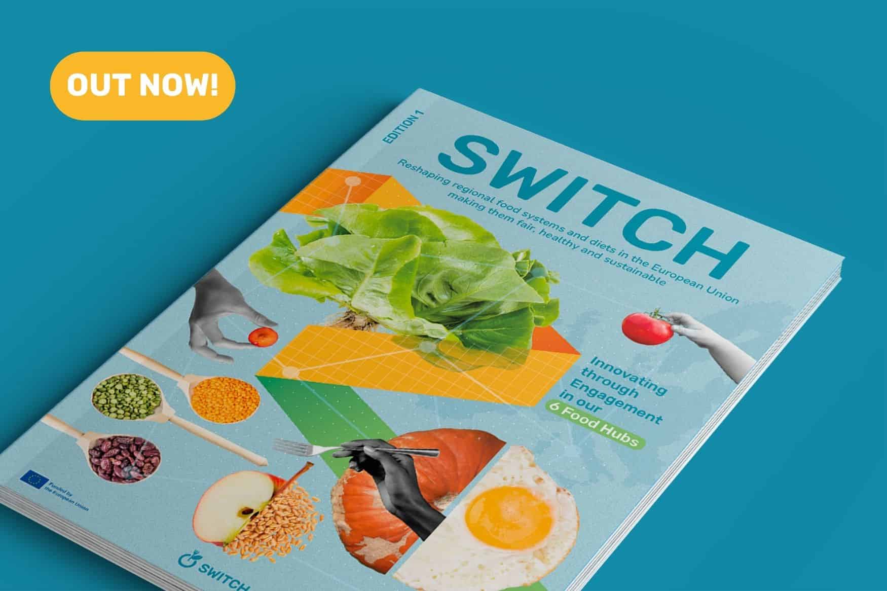 The SWITCH Project is pleased to announce the launch of its inaugural Project Magazine.